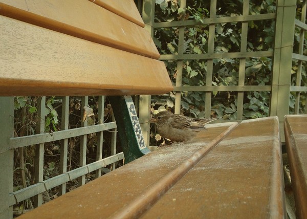 Steve Chua Photography